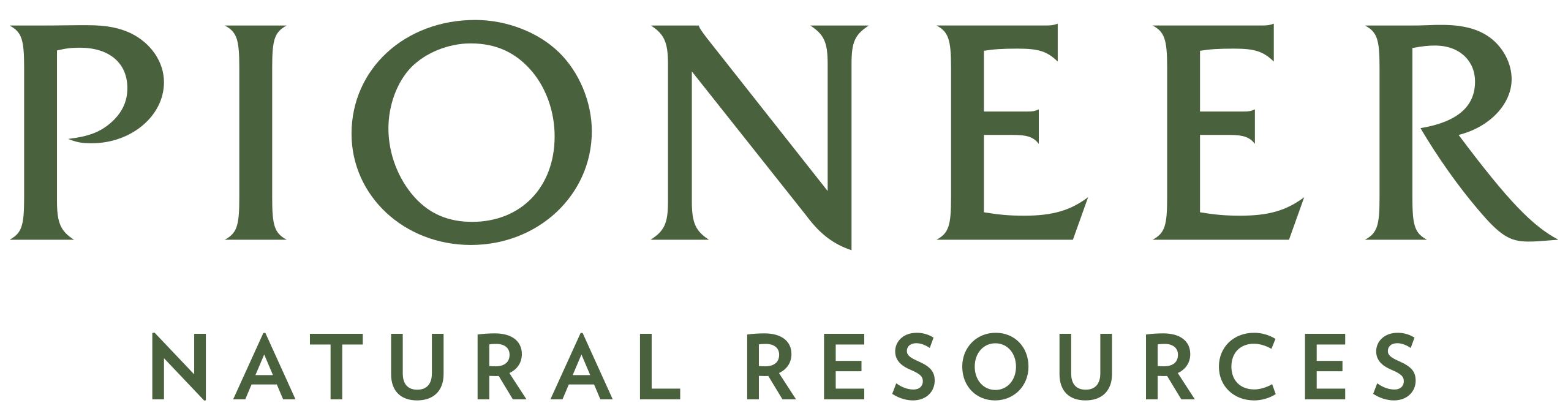 Logo de Pionner